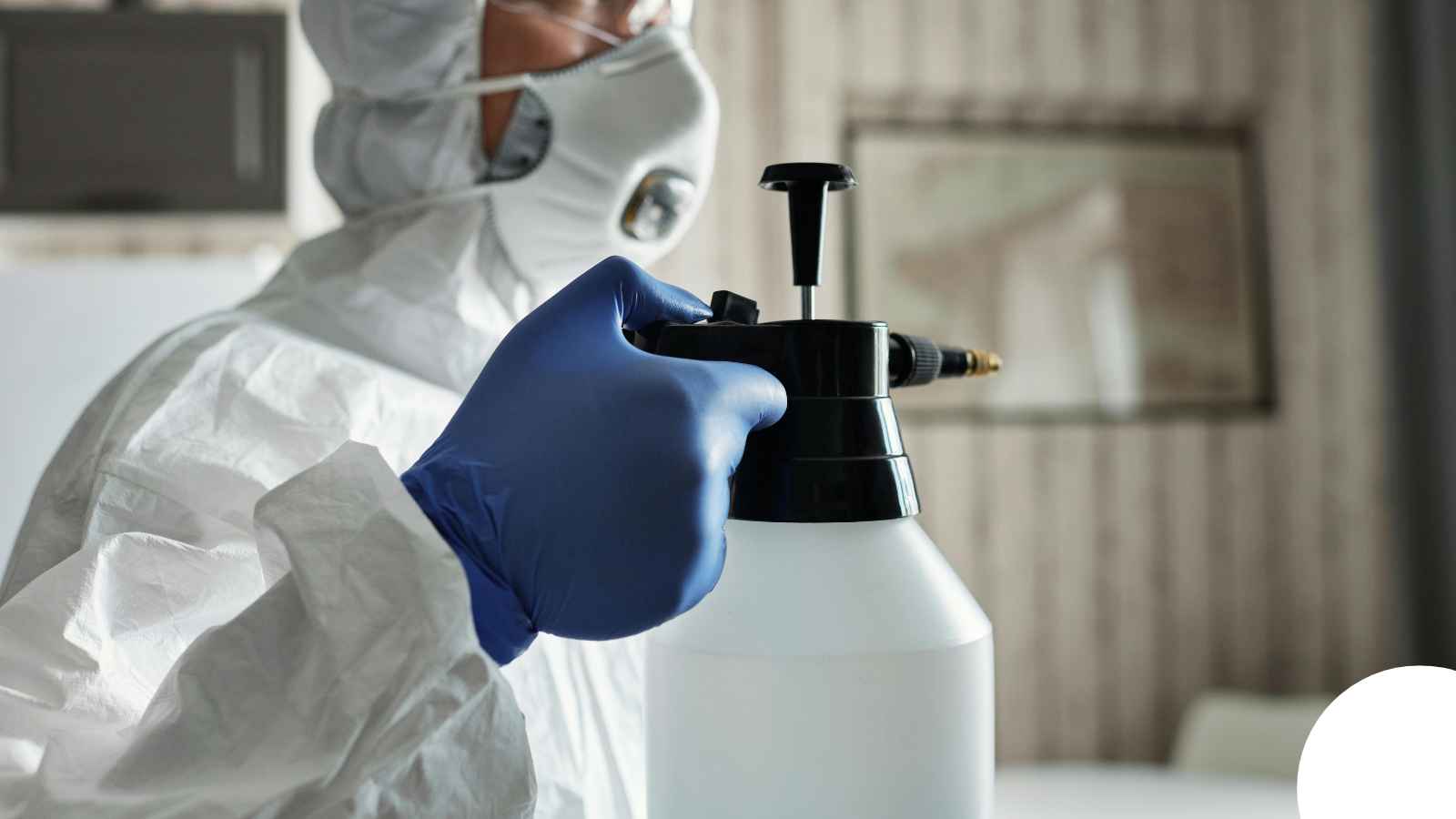 Biohazard Cleanup in Fort Collins, CO — Hoarding Cleanup Fort Collins